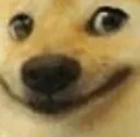 squaredoge squaredoge