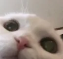 jibbyhey