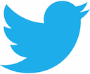 twitter Discord emoji