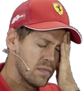 SebFacepalmFerrari Discord emoji