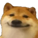 DBC_bruh_dog