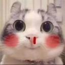 nosebleedcat Discord emoji