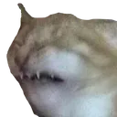 Ree