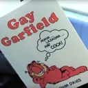gaygarfelid