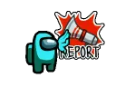 Report