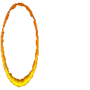 reverseportalorangeparrot