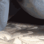 catpspsps Discord Emoji