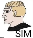 MBR_SIM