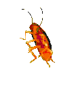 Dancingroach dancingroach Discord Emoji