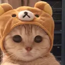 Catto3 Discord Emoji