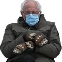 berniesit berniesit