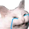 Crying crying Discord Emoji