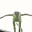 BE_kermit