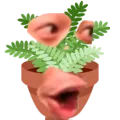 PogPlant Discord Emoji
