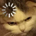 CattoLoad