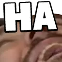 RobLMFAO RobLMFAO