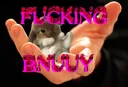 bnuuy bnuuy