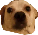 bananaO