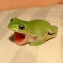 froggie_scream