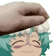 nelheadpat