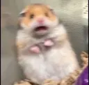 Fear