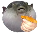 Crust Crust