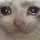 cat_cri