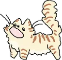 catscreeem catscreeem