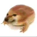 frogdoge Discord Emoji