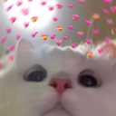 glow_CatLove Discord emoji