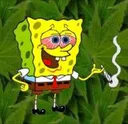 weedbob