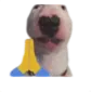 Walterpray