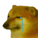 CheemsSad