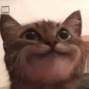 3_
