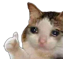 cat_thumb Discord emoji