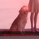burn_osea