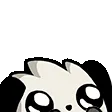 RooPeek