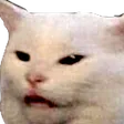 solaxy1Meow solaxy1Meow