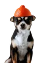 mythicchamphelm
