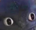 thewhat