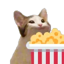 CatCamPopcorn