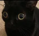 woah_18 woah_18