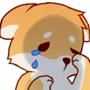ShibeUpset