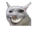 thecat