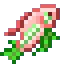 LullabyCarp