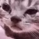 catSad