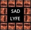 sedlyfekek