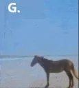 obama_g
