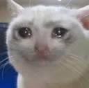 pain
