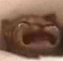 sad